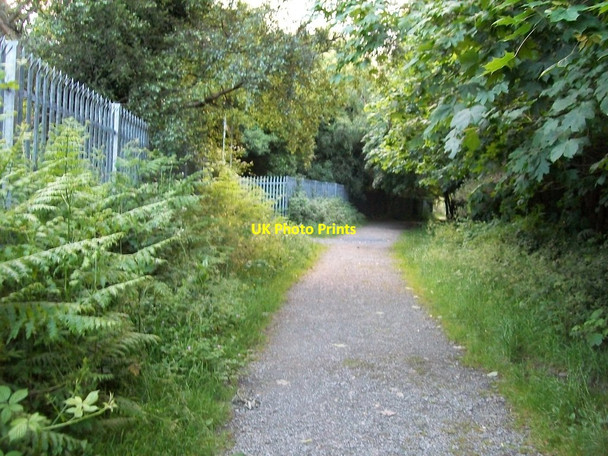 Photo 6"x4" The perimeter fence of the Newcastle Scout Campsite in Tipperary Lane Newcastle\/J3732 c2012