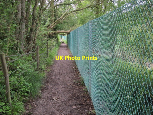 Photo 6"x4" Footpath towards Funtley Fareham c2012