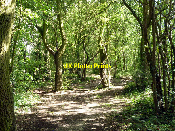 Photo 6"x4" In Harold's Wood Havering-atte-Bower c2012