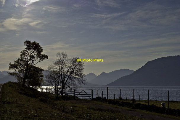 Photo 6"x4" Gate and trees by Inversanda Inversanda c2012
