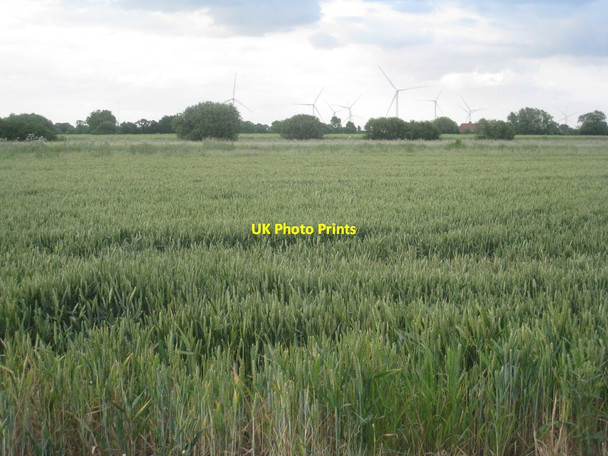 Photo 6"x4" View towards the wind farm Drax c2012