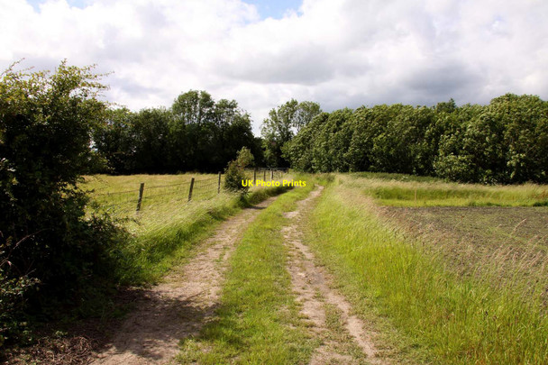 Photo 6"x4" Footpath to East Hanney East Hanney c2012