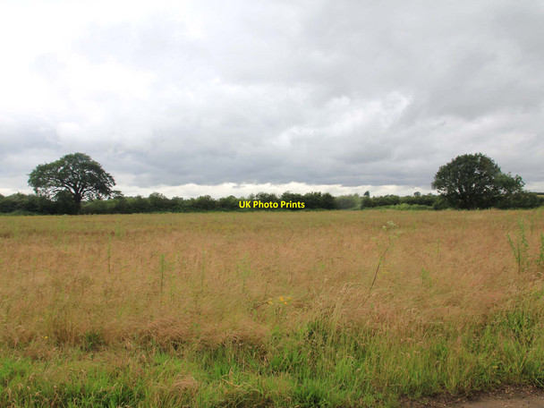 Photo 6"x4" Fields west of A46 Salford Priors c2012