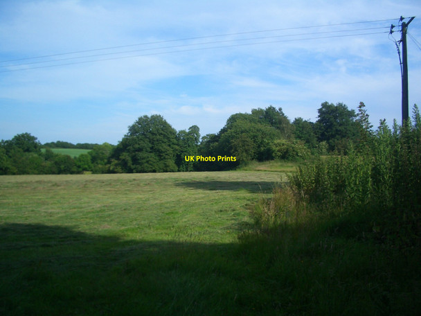 Photo 6"x4" Freshly cut grass West Grinstead c2012