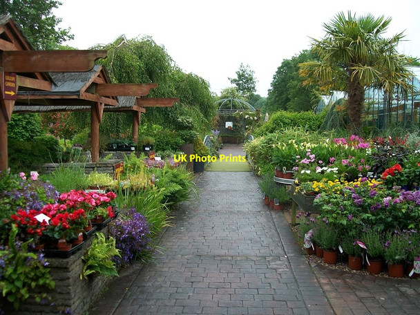 Photo 6"x4" Annetts Garden Centre, Rath Road, Warrenpoint Warrenpoint c2012