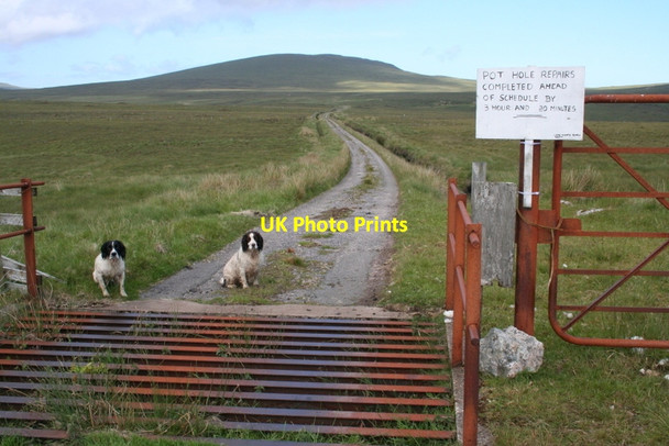Photo 6"x4" Paws at the cattle grid Lochan nam Breac Buidhe\/NC3368 c2012