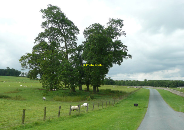 Photo 6"x4" Farm Drive Alnwick c2012