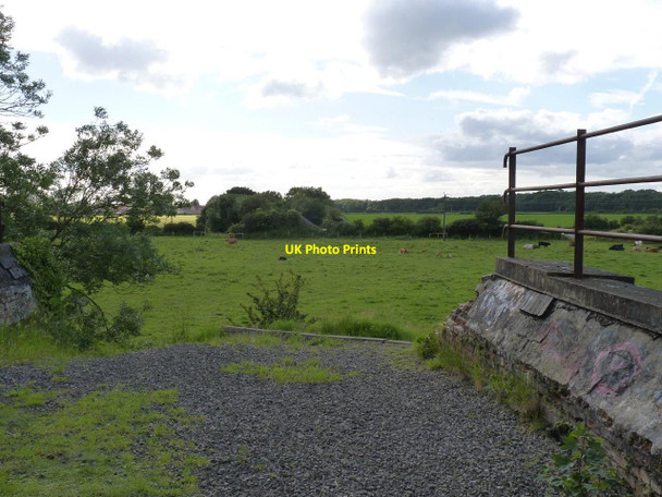 Photo 6"x4" View from the old bridge over the River Bain  Coningsby c2012