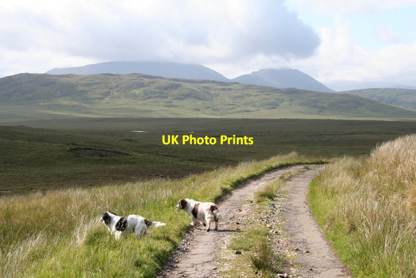 Photo 6"x4" A few hundred metres east of Inshore House Loch Inshore c2012