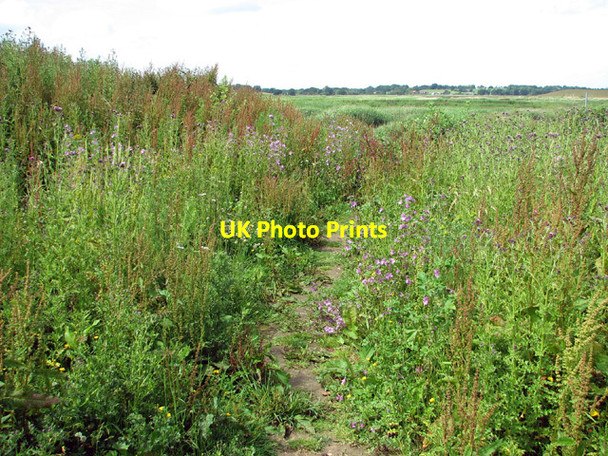 Photo 6"x4" Narrow path to the River Blyth Blythburgh c2012