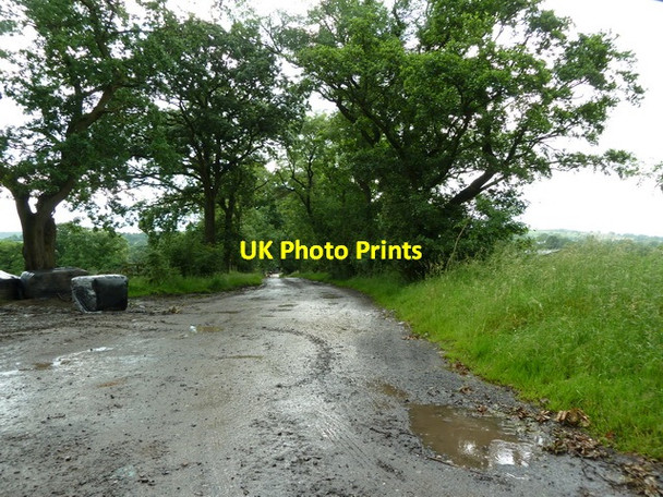 Photo 6"x4" Road to New Laithe, Forest Becks Forest Becks c2012