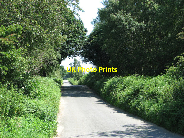 Photo 6"x4" Country Lane to Dunwich Dunwich c2012