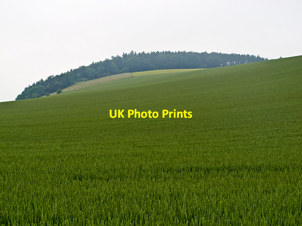 Photo 6"x4" View towards Round Hill Kilmany c2012