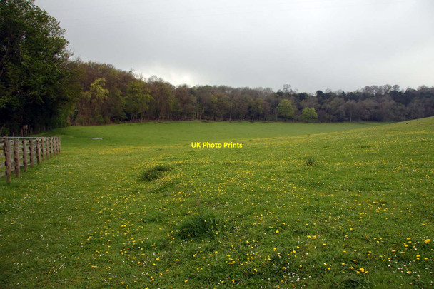 Photo 6"x4" Footpath across the field Streatley\/SU5980 c2012