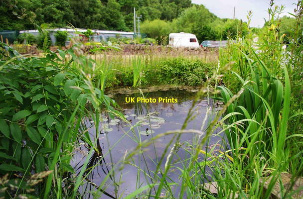 Photo 6"x4" Semi-hidden pond, Apedale Community Country Park, near Chesterton Broad Meadow\/SJ8348 c2012