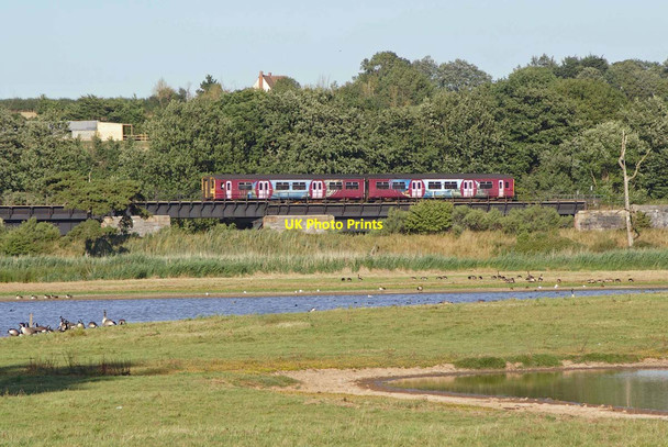 Photo 6"x4" Topsham Nature Reserve Ebford c2006