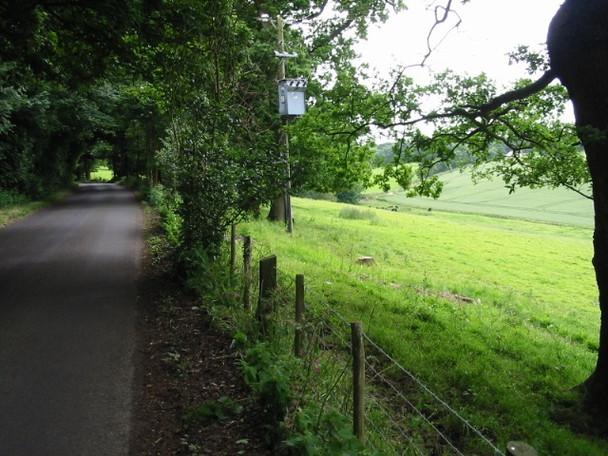 Photo 6"x4" Looking SSW along road by Acrise Place Ridge Row c2008