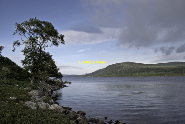 Photo 6"x4" Trees by Loch Naver C\u00e0rn Gruama Beag c2012