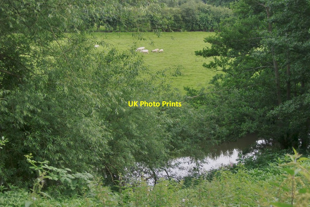 Photo 6"x4" The River Mole, upstream from Brockham Brockham\/TQ1949 c2012