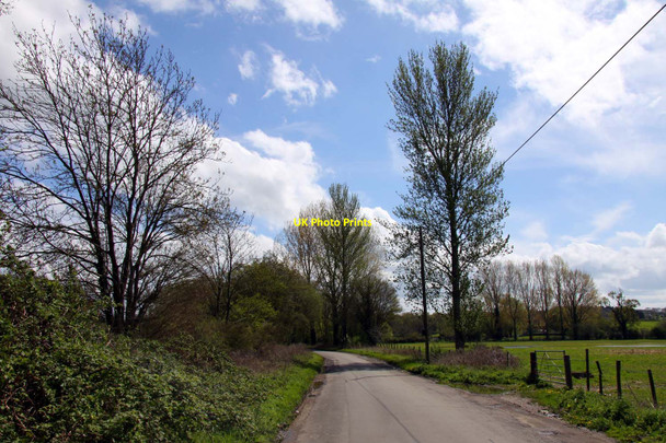 Photo 6"x4" The road to Ufton Green Ufton Green c2012