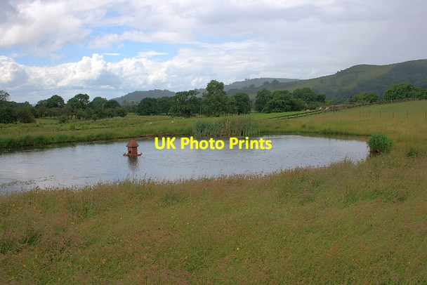 Photo 6"x4" Pond with Duck House Langley\/SJ9471 c2012