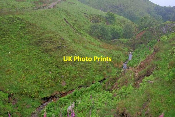 Photo 6"x4" Cumberland Brook Wildboarclough c2012