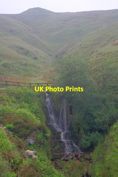 Photo 6"x4" Cumberland Brook Wildboarclough c2012 P1
