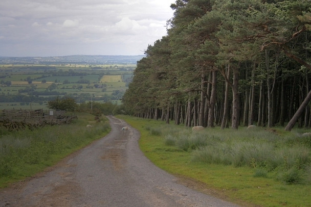 Photo 6"x4" Track to Gayles Gayles\/NZ1207 c2008