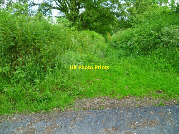 Photo 6"x4" The Orange Way in Dorset and Somerset (34) Blackney c2012