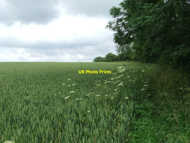 Photo 6"x4" Field Boundary Camps End c2012