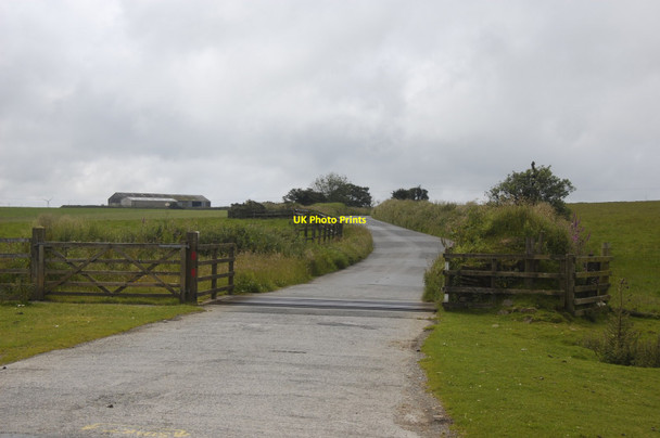 Photo 6"x4" Cattle Grid Trewassa c2012
