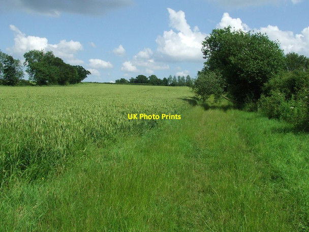 Photo 6"x4" Footpath And Field Mill Green\/TL6245 c2012