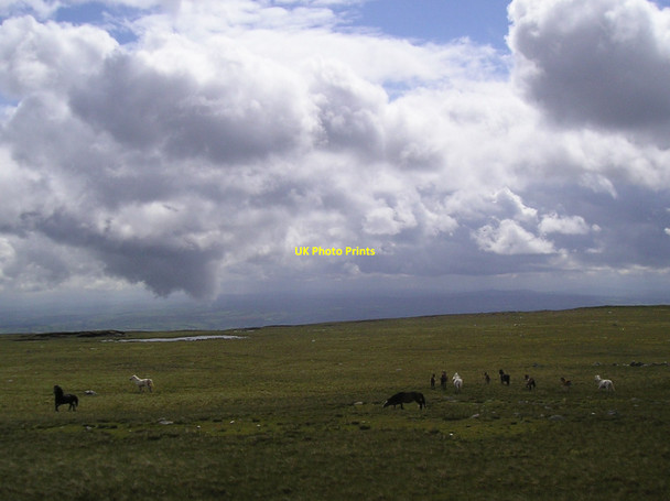 Photo 6"x4" Moorland Scene, Gledrffordd Gledrffordd c2012