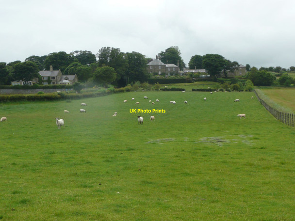 Photo 6"x4" High Buston High Buston c2012