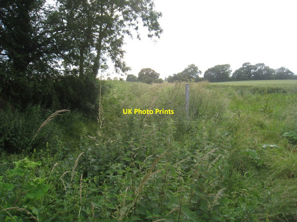 Photo 6"x4" Overgrown Drain alongside Wheels Lane Drax c2012