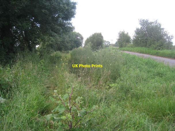Photo 6"x4" Overgrown drain and Seg Lane, Newland Drax c2012