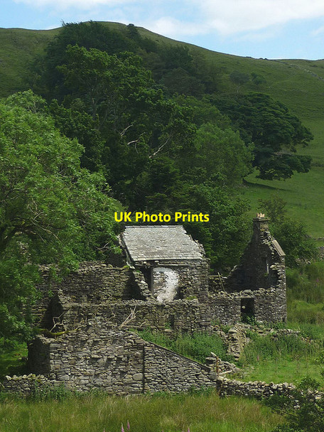 Photo 6"x4" Parrocks, Bretherdale Greenholme\/NY5905 c2012