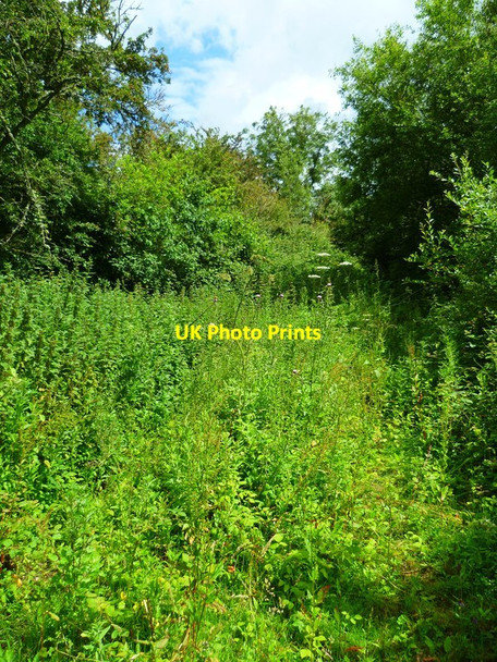 Photo 6"x4" The Orange Way in Dorset and Somerset (119) Hill End\/ST5011 c2012