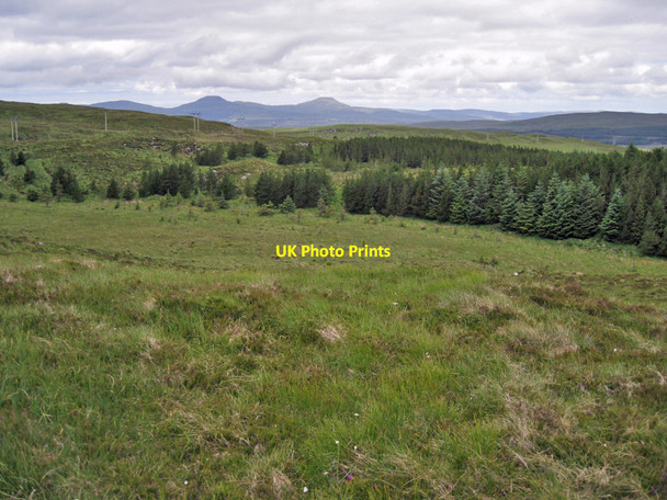 Photo 6"x4" Southern tip of the forest Totardor c2012