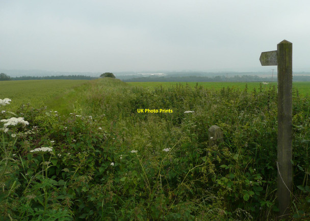 Photo 6"x4" Not an appealing public footpath to Alnwick Shilbottle Grange c2012