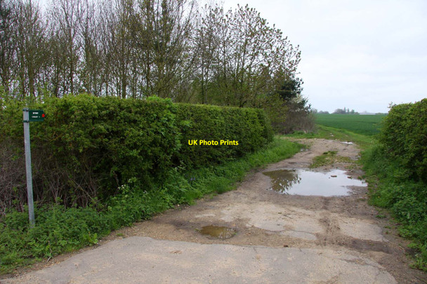 Photo 6"x4" Byway to Cholsey Cholsey c2012