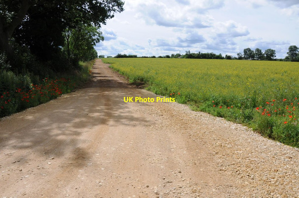 Photo 6"x4" Road to Rickfield Milcombe\/SP4134 c2012