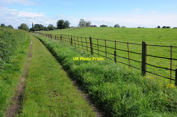 Photo 6"x4" Track to Ham Court Newbridge Green c2012