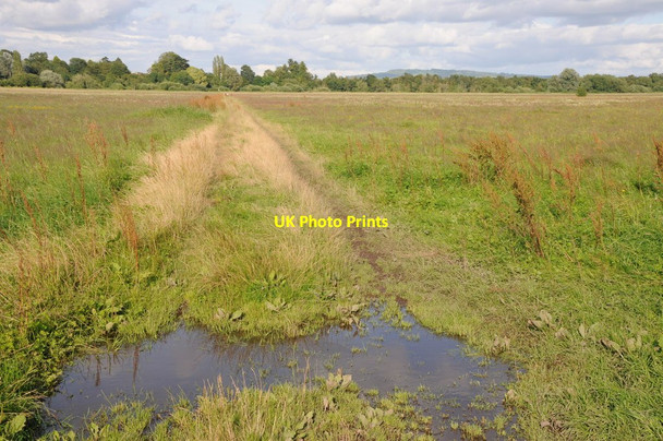 Photo 6"x4" Track across Upper Ham Upton upon Severn c2012