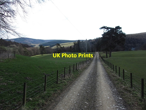 Photo 6"x4" Road to Birks Howford\/NT3136 c2012