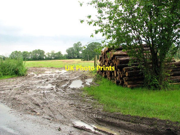 Photo 6"x4" Entrance into fields Great Maplestead c2012