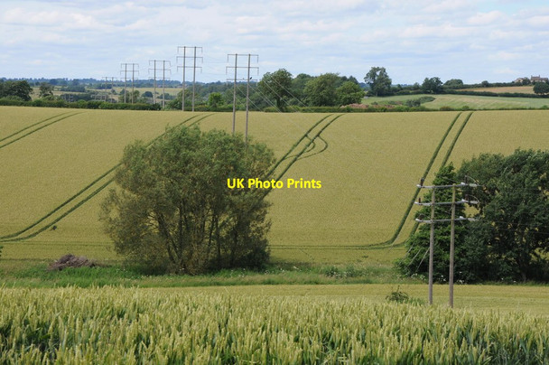 Photo 6"x4" Power line and wheat fields Lower Tadmarton c2012