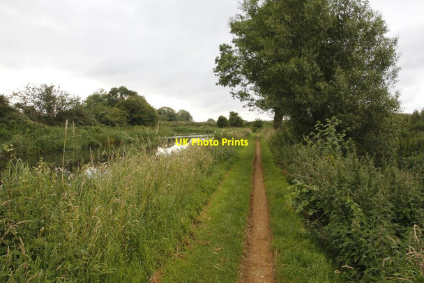 Photo 6"x4" Along the Kennet Towpath Colthrop c2012