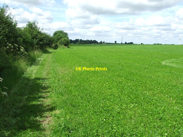 Photo 6"x4" Field Of Clover West Wratting c2012