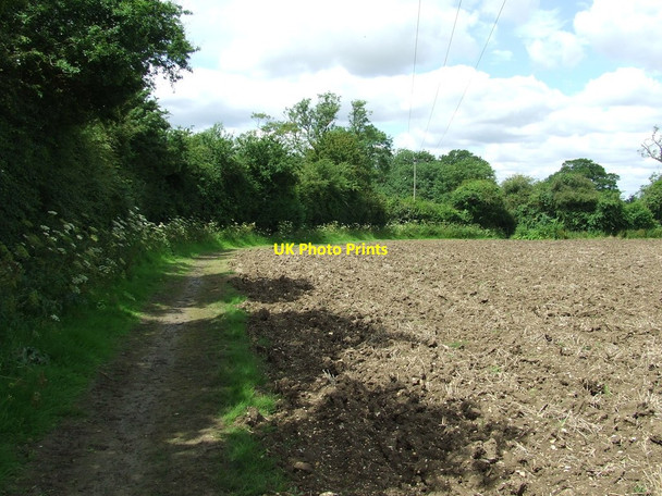 Photo 6"x4" Around The Edge Balsam c2012